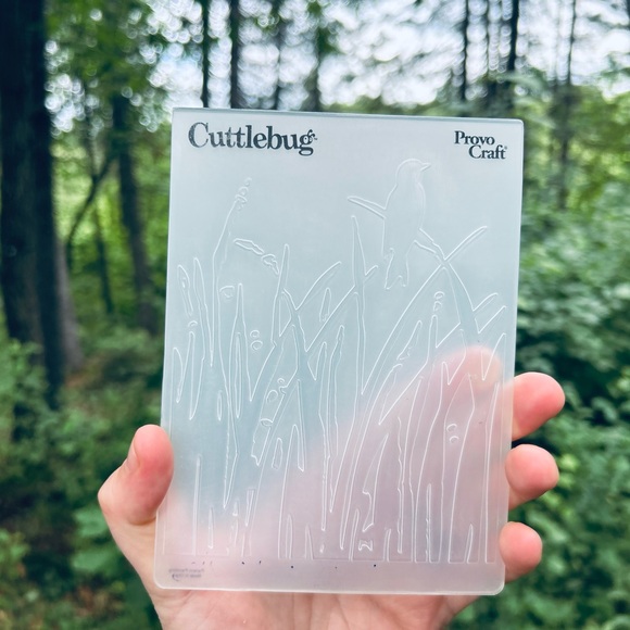 Provo Craft Cuttlebug Embossing Folder - Clear - Picture 1 of 3